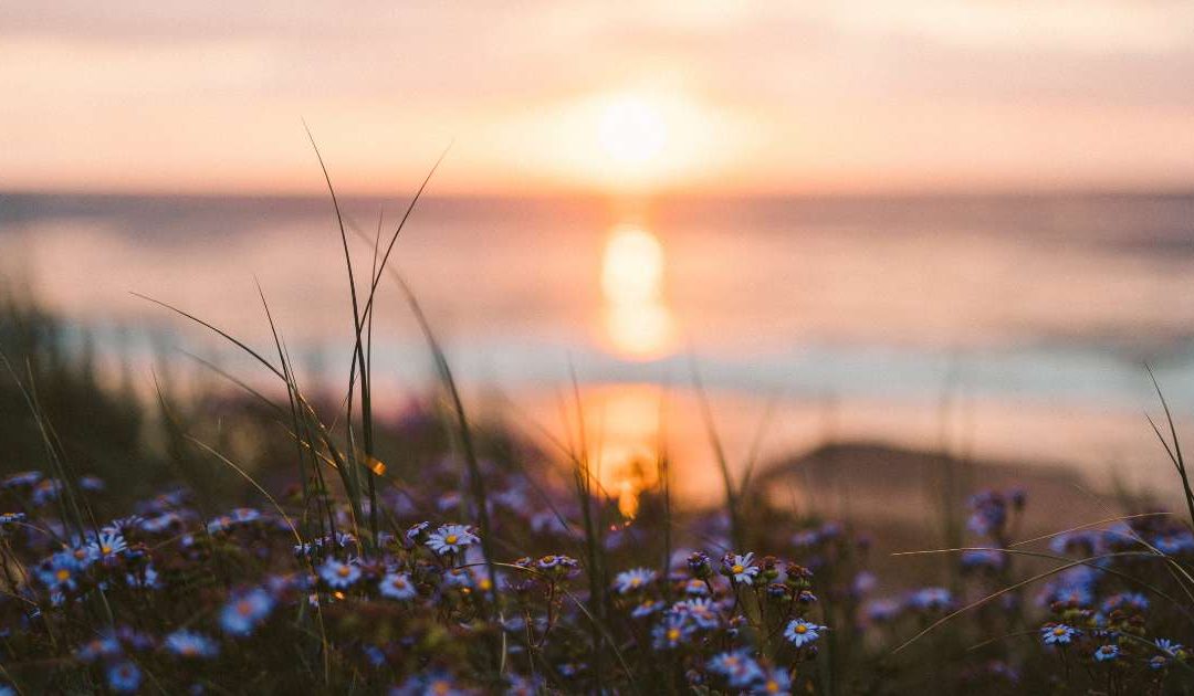 How to be in Alignment with Your Inner Power