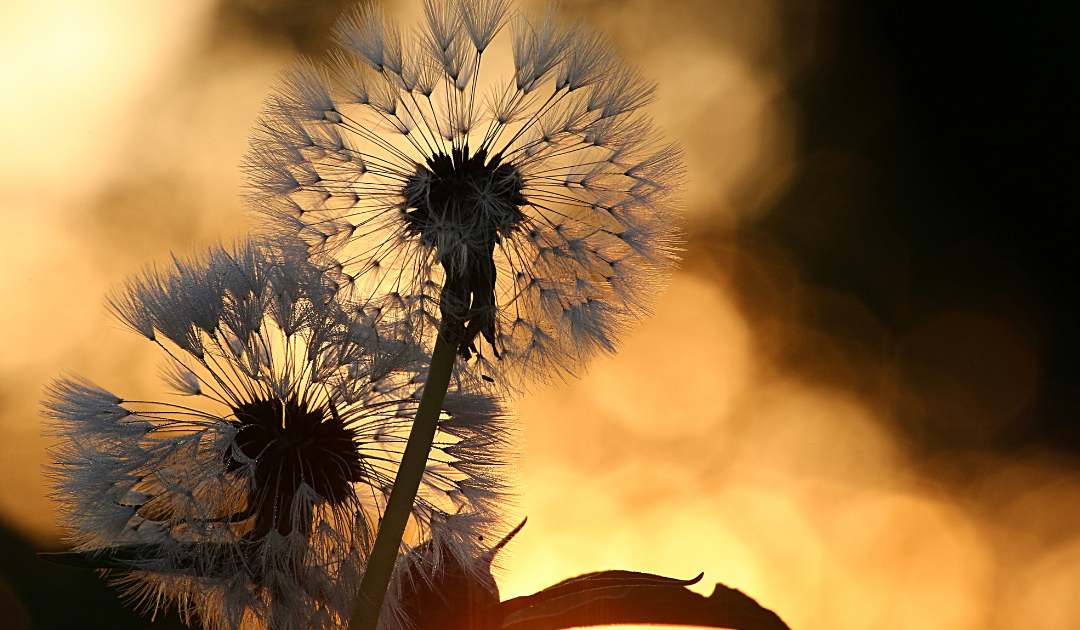 Breaking Free: Redefining Success on Your Terms