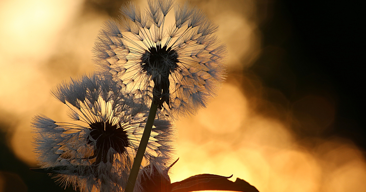blog – define success